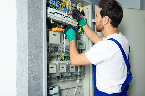 Best Electric Panel Repair  in Alto, TX